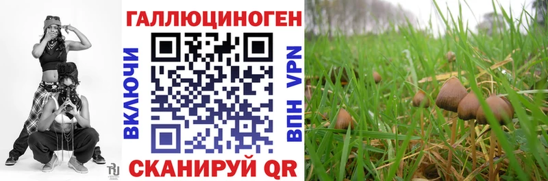 Псилоцибиновые грибы ЛСД  дарнет шоп  Котлас 